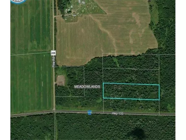 TBD County Highway 133, Meadowlands, MN 55765