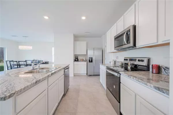 16059 BALBOA MIST CV, Odessa, FL 33556