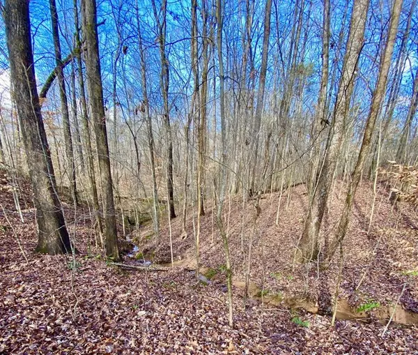 4142 Topsail RDG, Gainesville, GA 30506