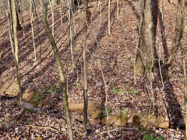 4142 Topsail RDG, Gainesville, GA 30506