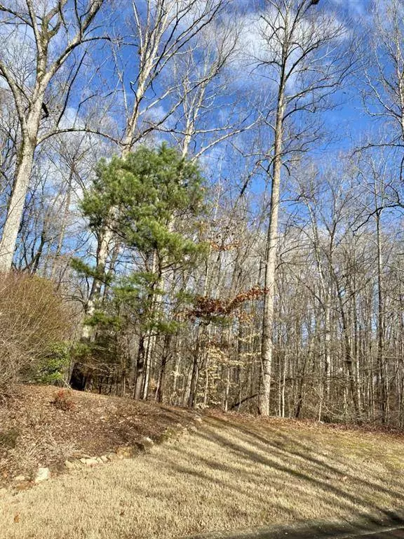 4142 Topsail RDG, Gainesville, GA 30506