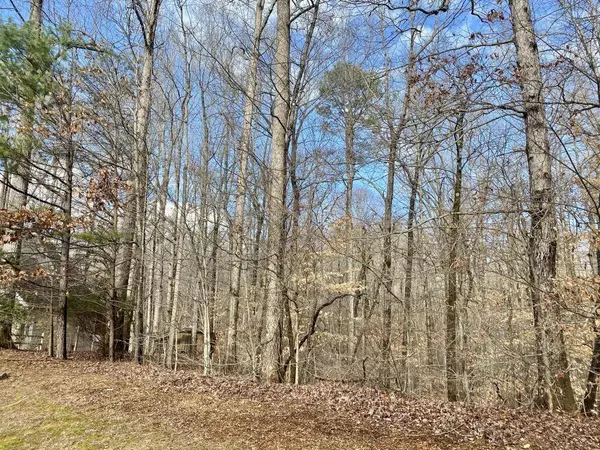 4142 Topsail RDG, Gainesville, GA 30506