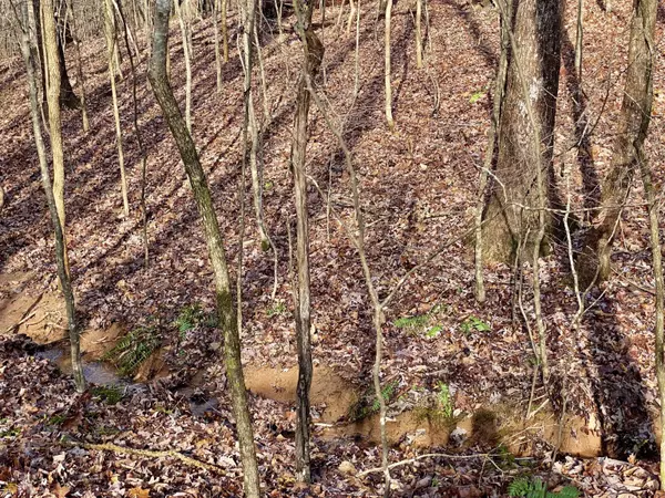 4142 Topsail RDG, Gainesville, GA 30506