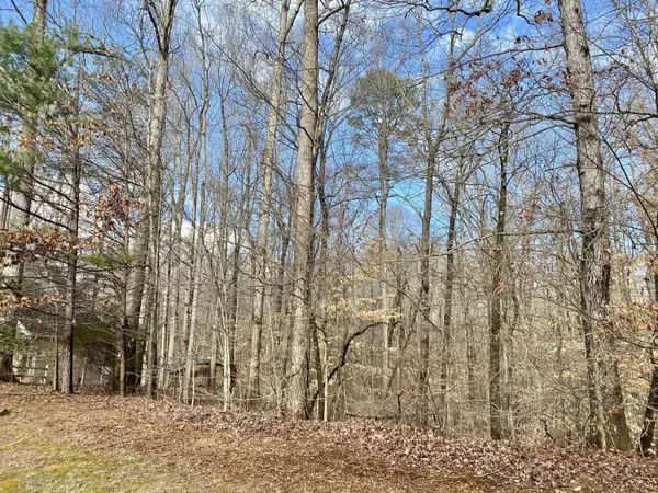 4142 Topsail RDG, Gainesville, GA 30506