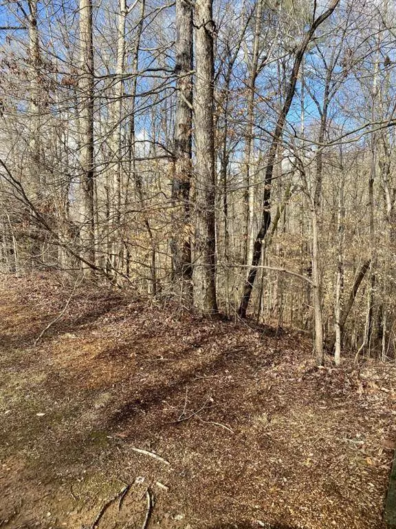 4142 Topsail RDG, Gainesville, GA 30506