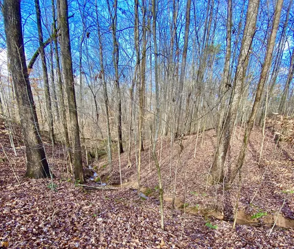 4142 Topsail RDG, Gainesville, GA 30506