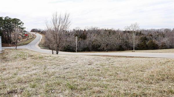 0 W Spruce Street W, Houston, MO 65483