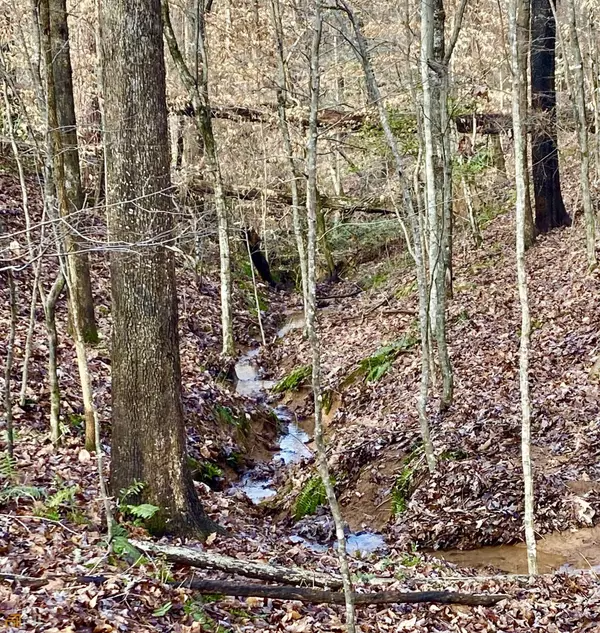 4142 Topsail RDG, Gainesville, GA 30506