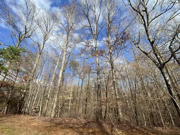 4142 Topsail RDG, Gainesville, GA 30506