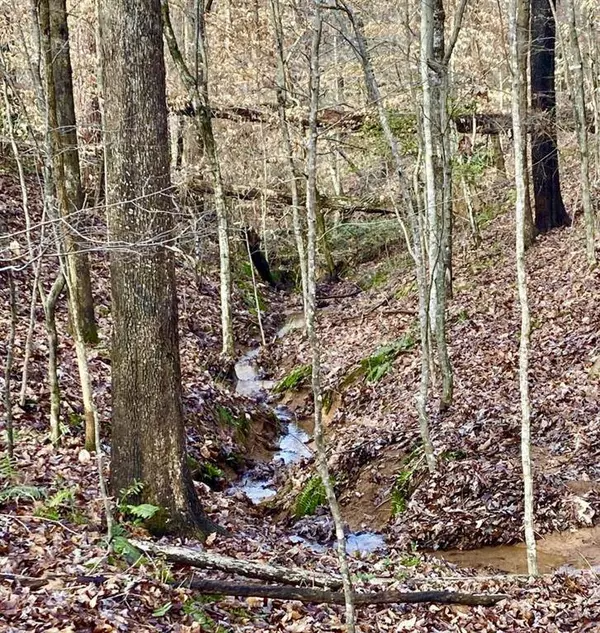 4142 Topsail RDG, Gainesville, GA 30506