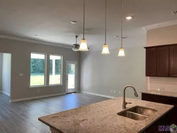 58835 ISLAND DR, Plaquemine, LA 70764