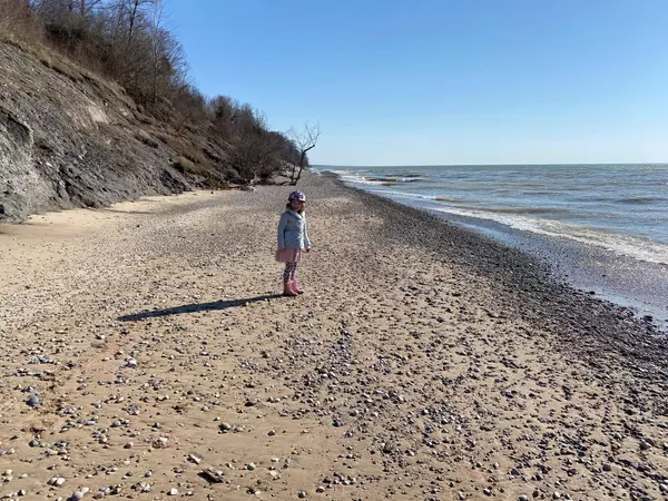 1485 71st Street, Fennville, MI 49408