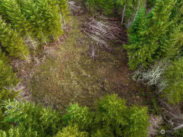 3132 410th ST E, Eatonville, WA 98328