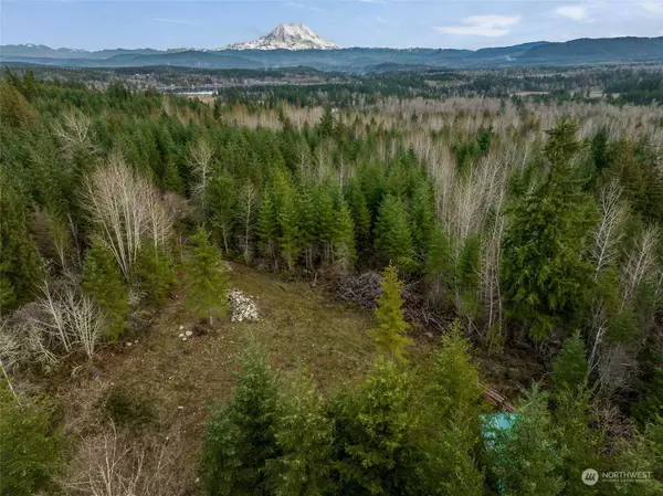 3132 410th ST E, Eatonville, WA 98328