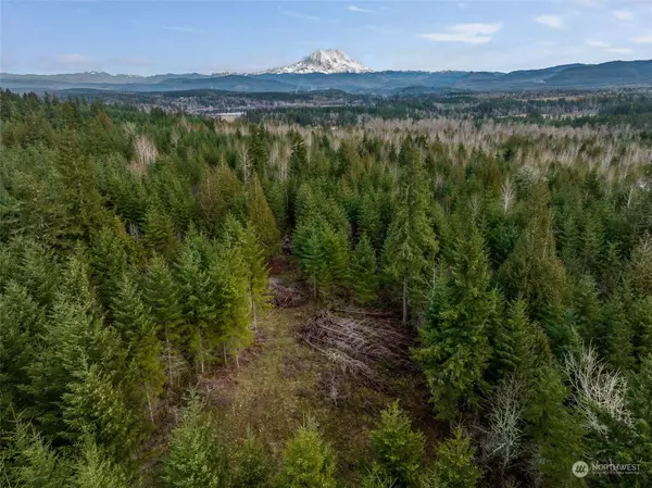 3132 410th ST E, Eatonville, WA 98328