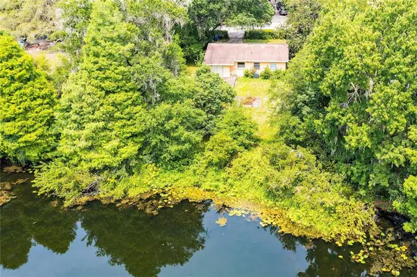 12909 FOREST HILLS DR, Tampa, FL 33612