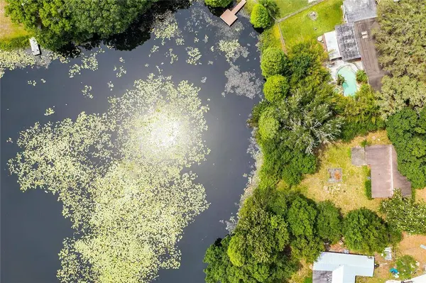 12909 FOREST HILLS DR, Tampa, FL 33612