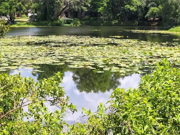 12909 FOREST HILLS DR, Tampa, FL 33612