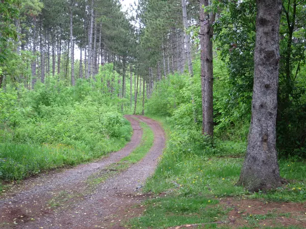 27994 Town Line Lake RD, Deerwood, MN 56444