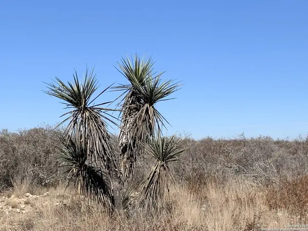 87 Palomino Hills Cir, Uvalde, TX 78801