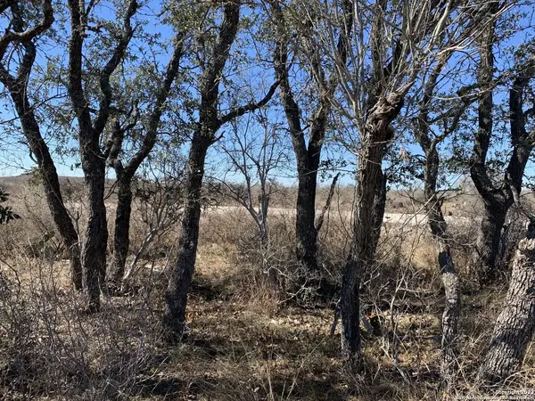 87 Palomino Hills Cir, Uvalde, TX 78801