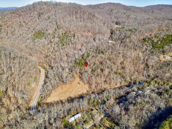 Highway 70N, Eidson, TN 37731