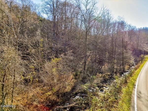 Highway 70N, Eidson, TN 37731