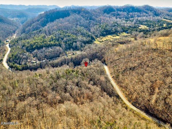 Highway 70N, Eidson, TN 37731