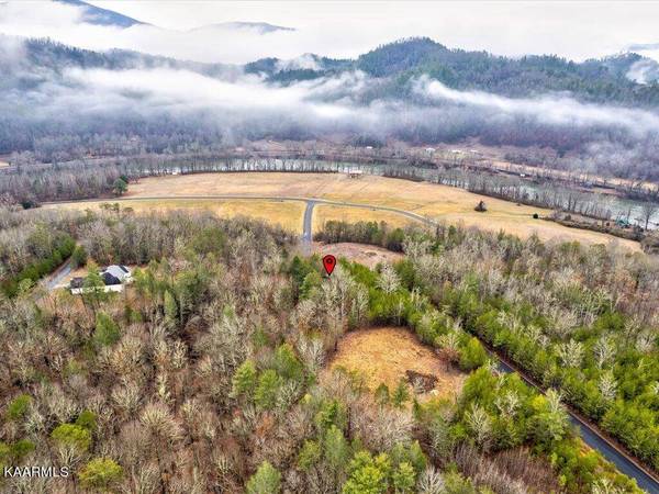 Lot 106 Huff Overlook WAY, Del Rio, TN 37727