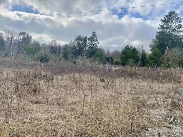 1859 Ga Highway 247, Kathleen, GA 31047