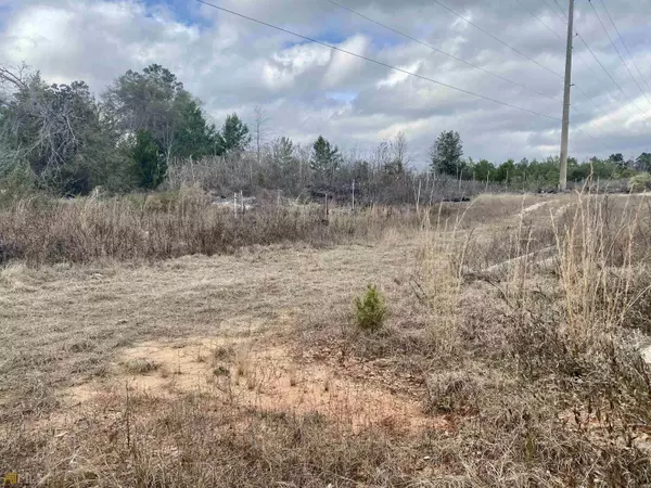 1859 Ga Highway 247, Kathleen, GA 31047