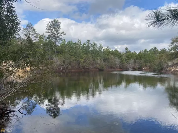 1859 Ga Highway 247, Kathleen, GA 31047