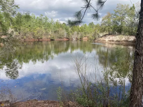 1859 Ga Highway 247, Kathleen, GA 31047