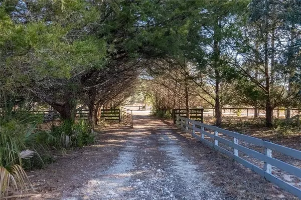 4850 NE 138TH TER, Williston, FL 32696