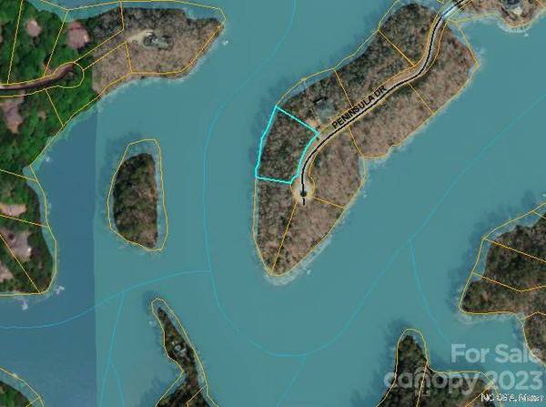 Lot 42 Peninsula DR, Mill Spring, NC 28756