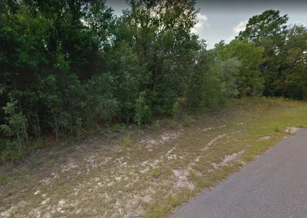 2974 W AKRON PL, Citrus Springs, FL 34433