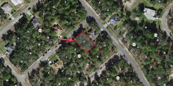 2974 W AKRON PL, Citrus Springs, FL 34433