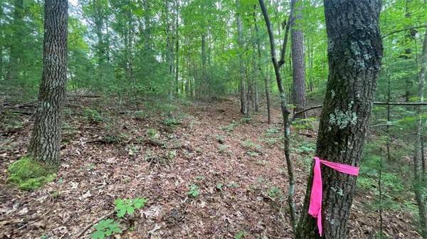 0 Catawba CIR, Ellijay, GA 30540