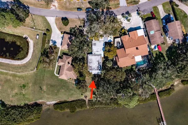 3677 SHORE BLVD, Oldsmar, FL 34677