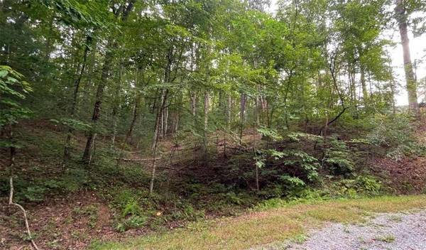 0 Catawba CIR, Ellijay, GA 30540