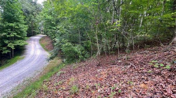 0 Catawba CIR, Ellijay, GA 30540