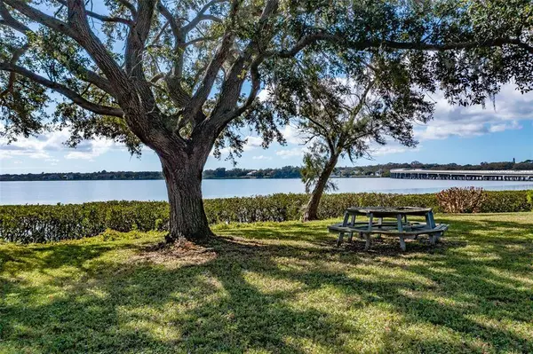 3677 SHORE BLVD, Oldsmar, FL 34677