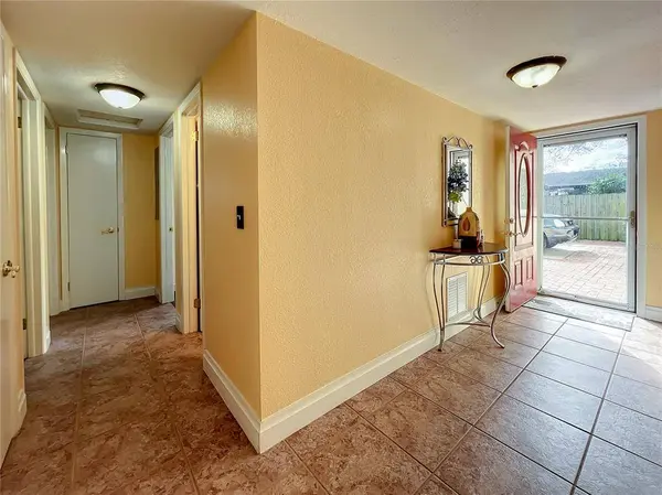 6420 SANTA MONICA DR, Tampa, FL 33615