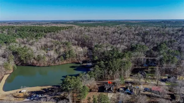 21243 POLLY CIR, Lake View, AL 354111