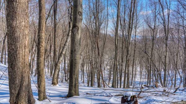 8892 County Highway I, Lafayette, WI 54656