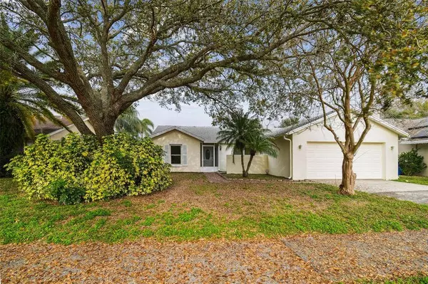 6802 SEAFAIRER DR, Tampa, FL 33615