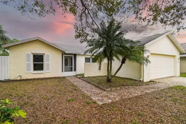 6802 SEAFAIRER DR, Tampa, FL 33615