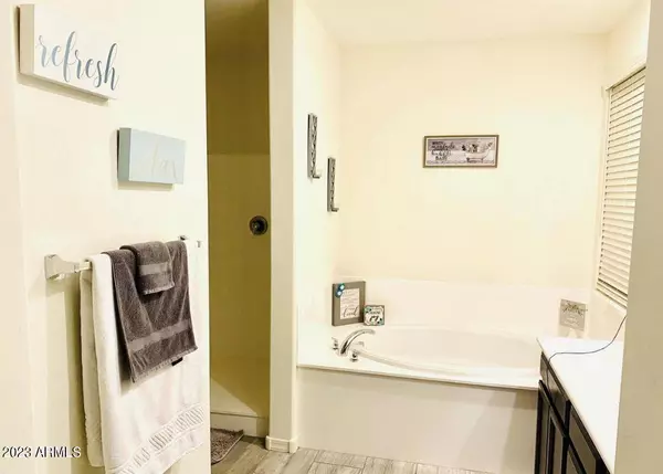 522 S 171ST Drive, Goodyear, AZ 85338