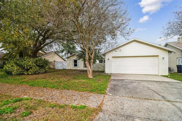 6802 SEAFAIRER DR, Tampa, FL 33615