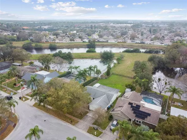 6802 SEAFAIRER DR, Tampa, FL 33615